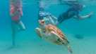 'There is no normal anymore': Earth reaches hottest water temps