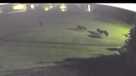 Feral hogs caught on camera in PGA National community