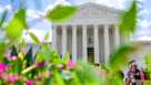 Trump admin urges SCOTUS to allow order targeting mail-in voting before midterms